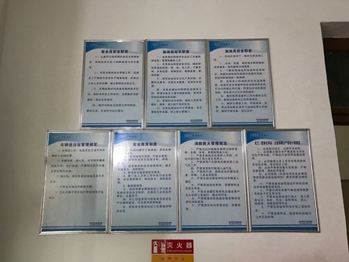 蓝田县安监局组织人员对危险化学品行业及灯会现场进行安全检查